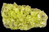 Sulfur Crystals on Matrix - Bolivia #104772-1
